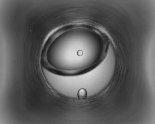 X0000086091328200703301142