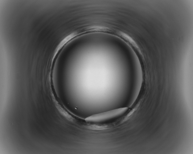 X0000086091330200703301142