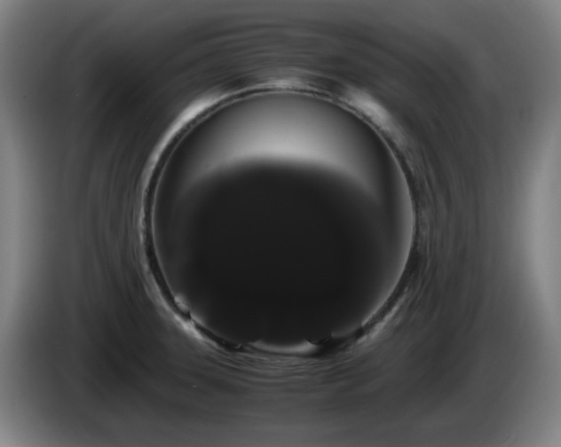 X0000086091331200703301142