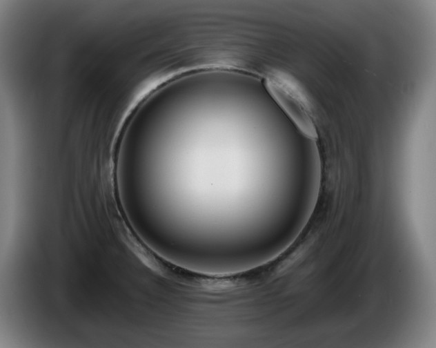 X0000086091332200703301142