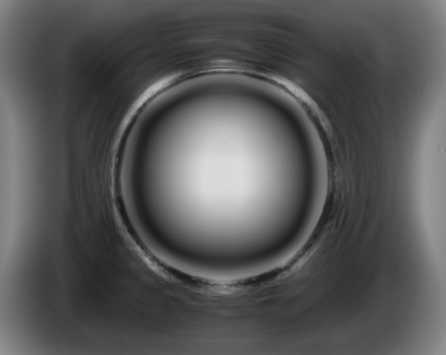 X0000086091333200703301142