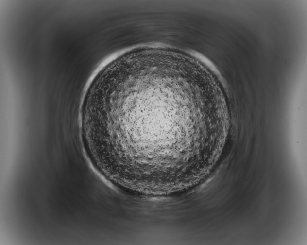 X0000086091335200703301142