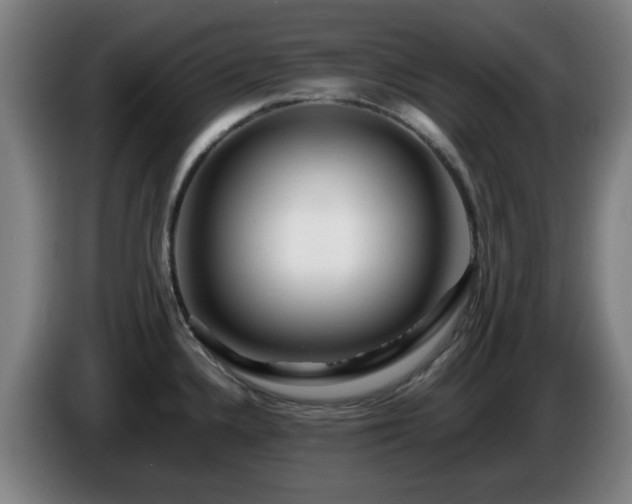 X0000086091336200703301142