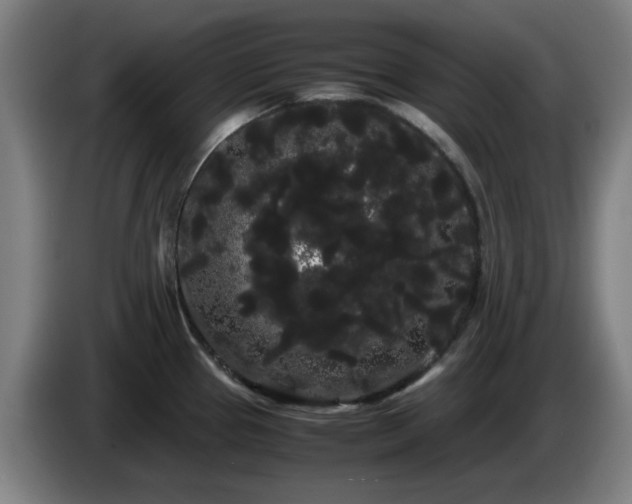 X0000086091337200703301142