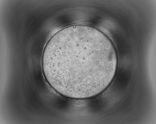 X0000086091338200703301142