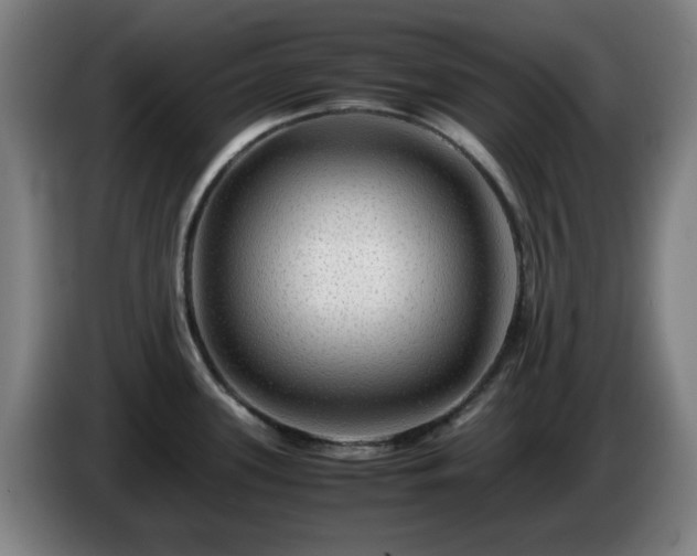 X0000086091339200703301142