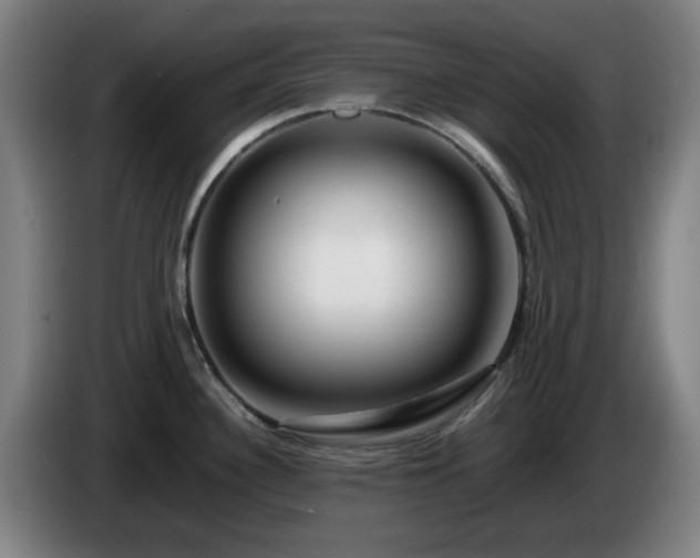 X0000086091340200703301142