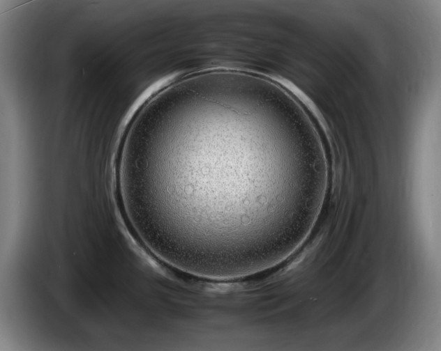 X0000086091341200703301142