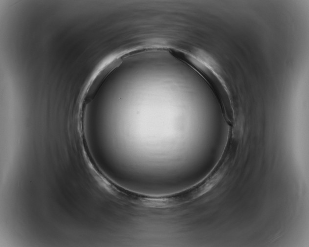 X0000086091342200703301142