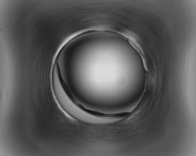 X0000086091343200703301142