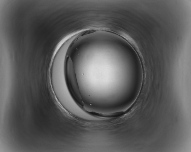 X0000086091344200703301142