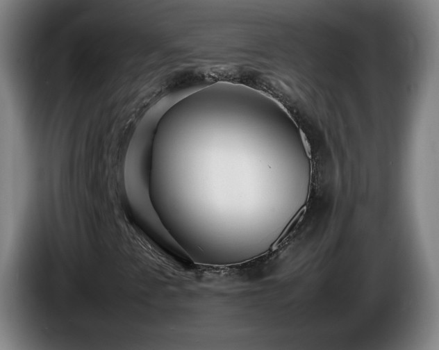 X0000086091345200703301142