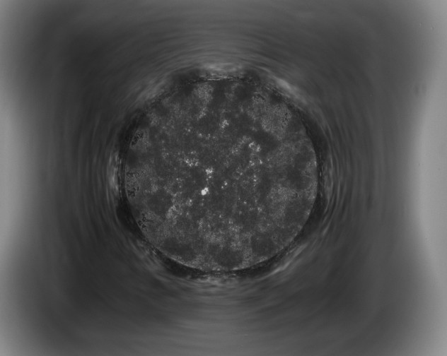 X0000086091346200703301142