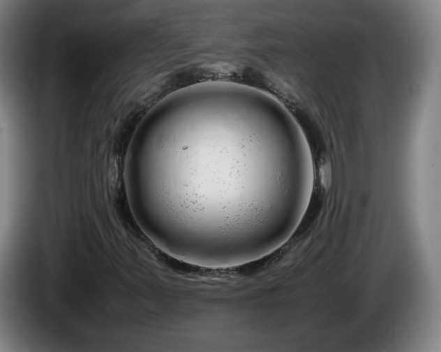 X0000086091347200703301142