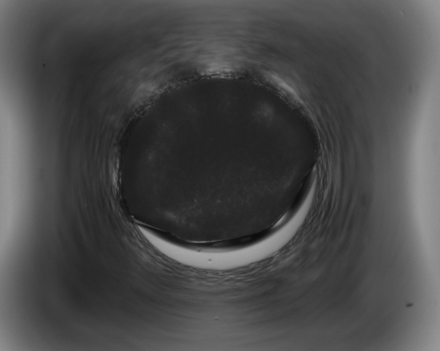 X0000086091348200703301142