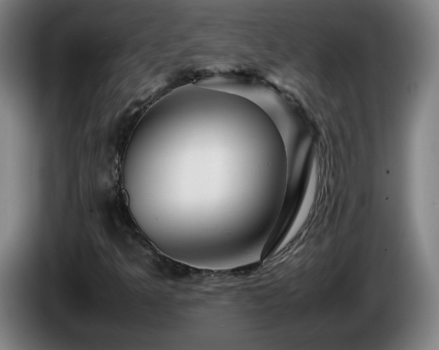 X0000086091349200703301142