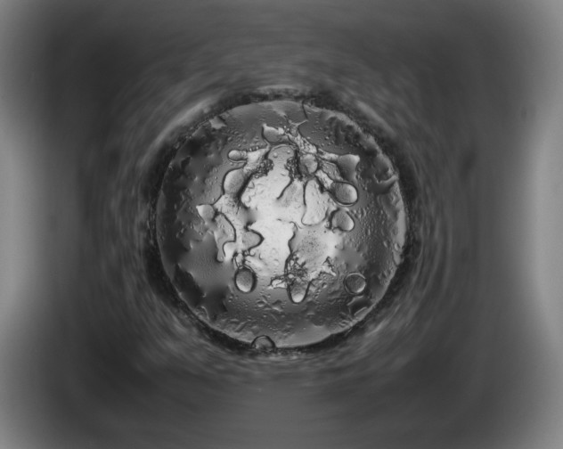 X0000086091351200703301142