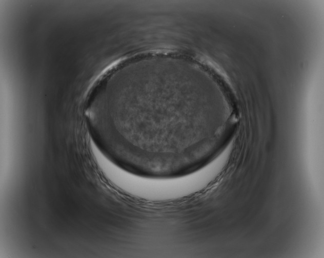 X0000086091352200703301142