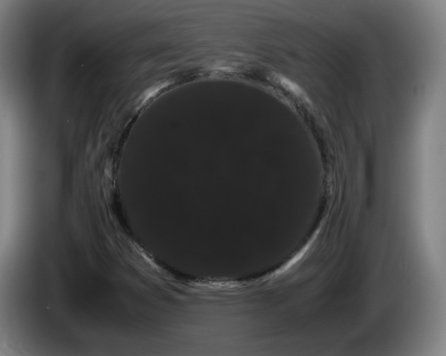 X0000086091353200703301142