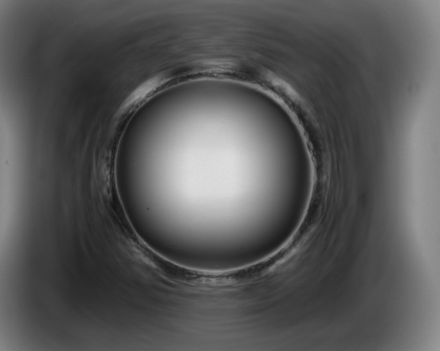 X0000086091354200703301142