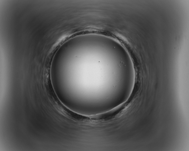 X0000086091355200703301142