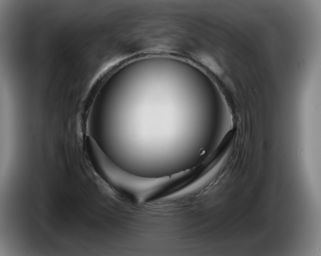 X0000086091356200703301142