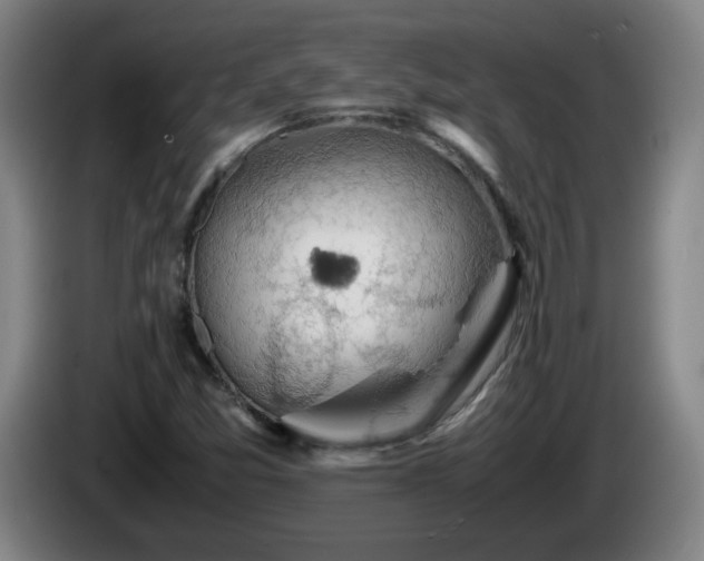 X0000086091357200703301142