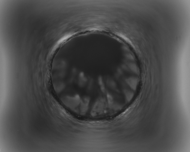 X0000086091359200703301142