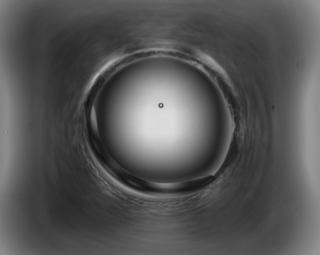 X0000086091360200703301142