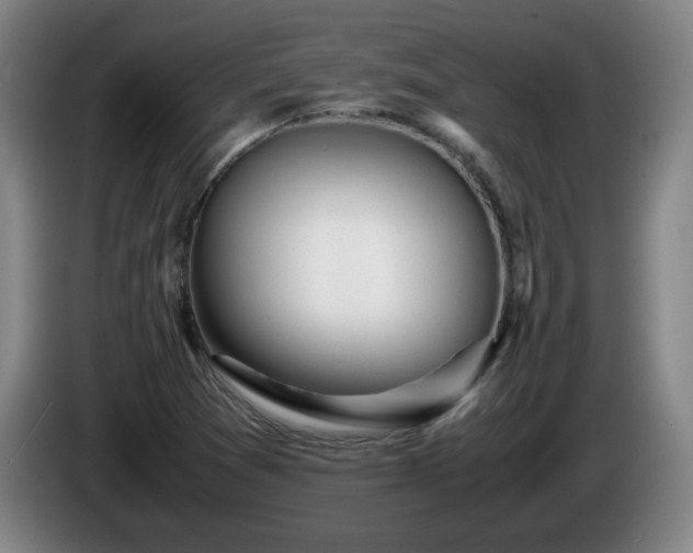 X0000086091361200703301142