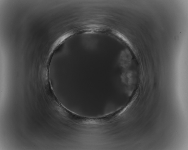 X0000086091362200703301141