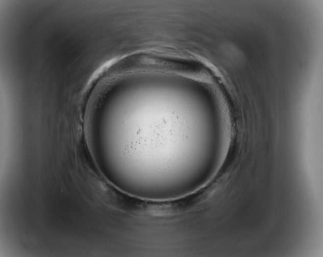 X0000086091363200703301141