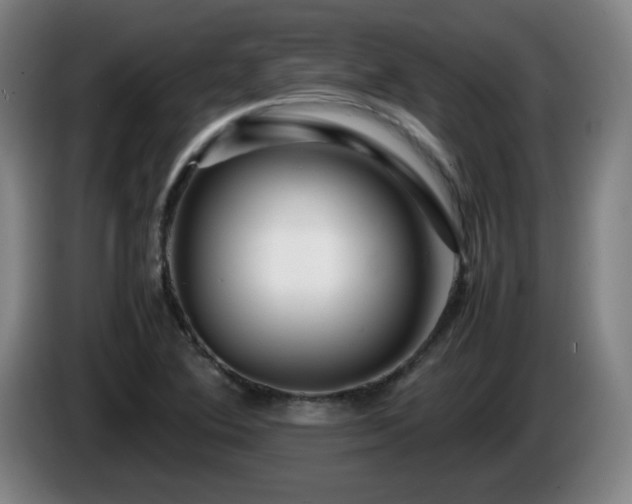 X0000086091364200703301141