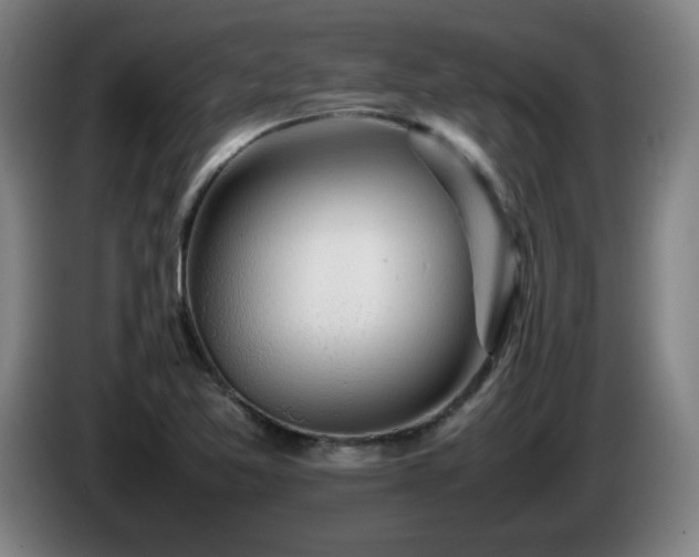 X0000086091365200703301141