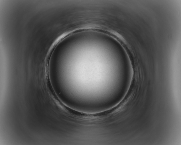 X0000086091366200703301141