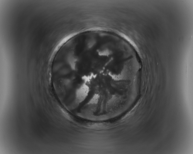 X0000086091367200703301141