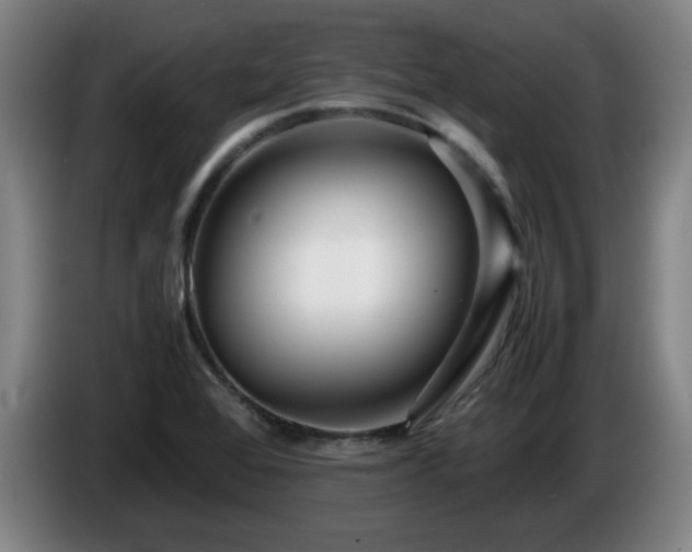 X0000086091368200703301141