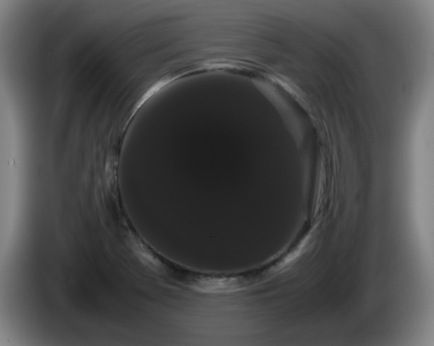 X0000086091369200703301141