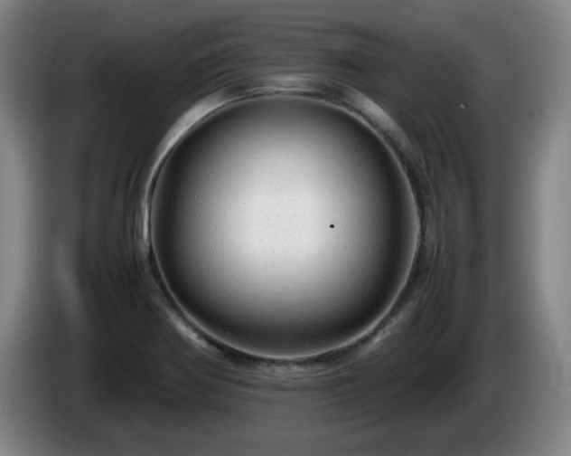 X0000086091370200703301141