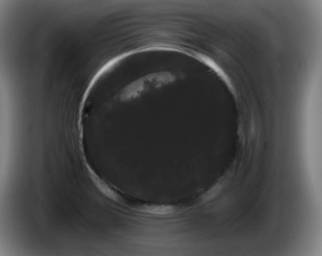 X0000086091372200703301141