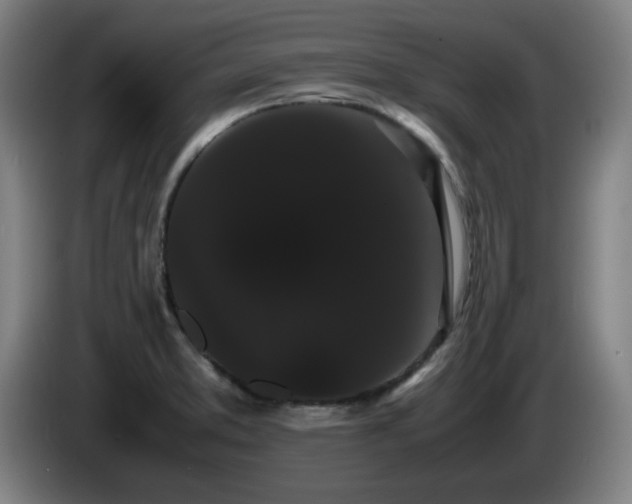 X0000086091373200703301141