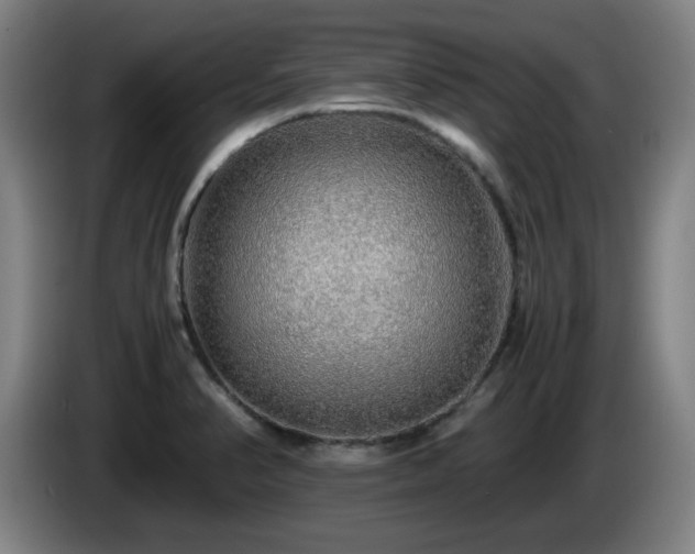 X0000086091374200703301141