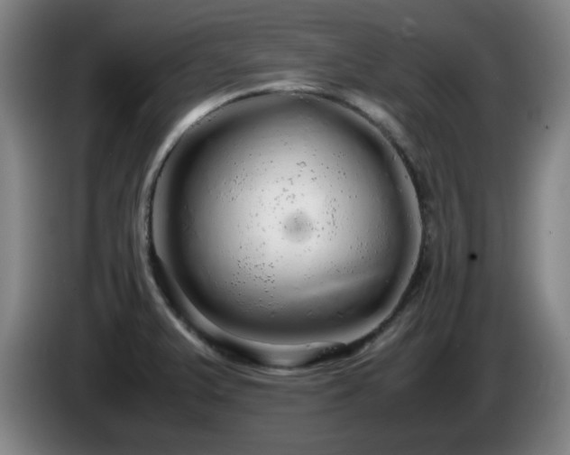 X0000086091375200703301141