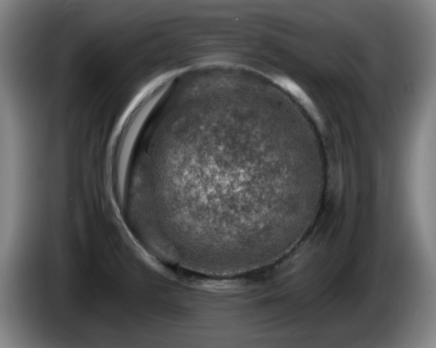 X0000086091376200703301141