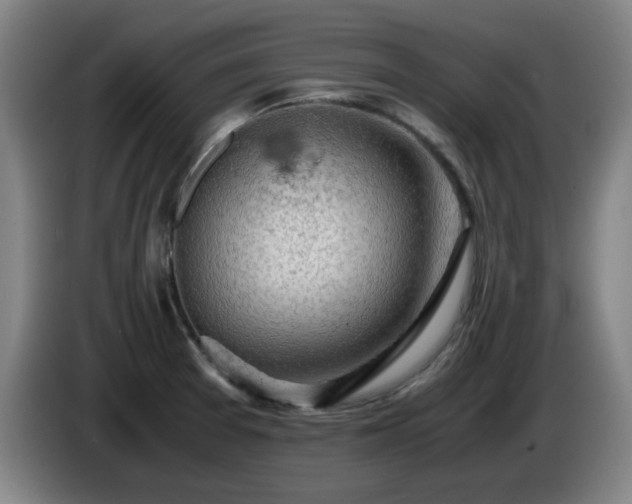 X0000086091377200703301141