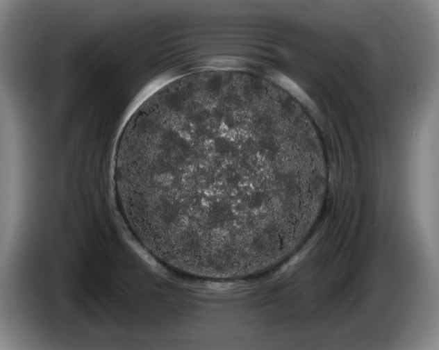 X0000086091378200703301141