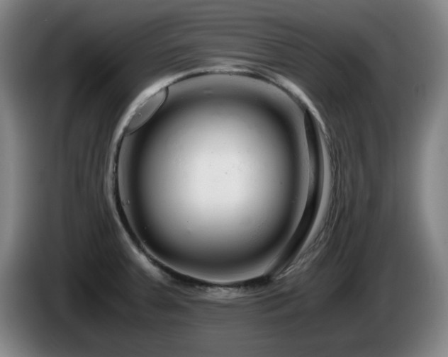 X0000086091379200703301141