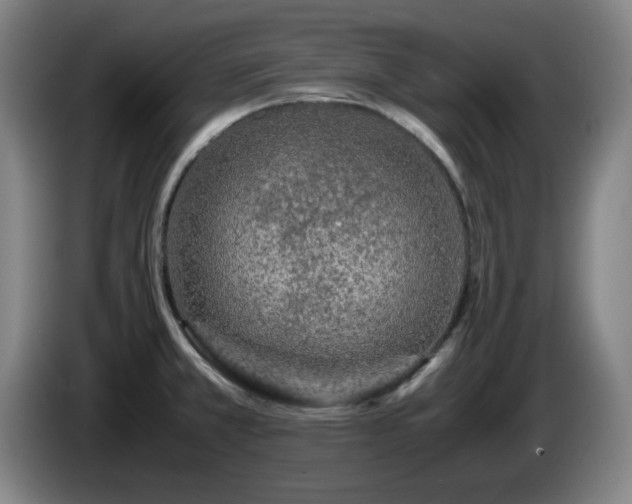 X0000086091381200703301141