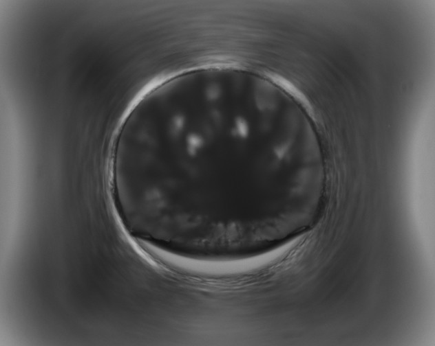 X0000086091383200703301141