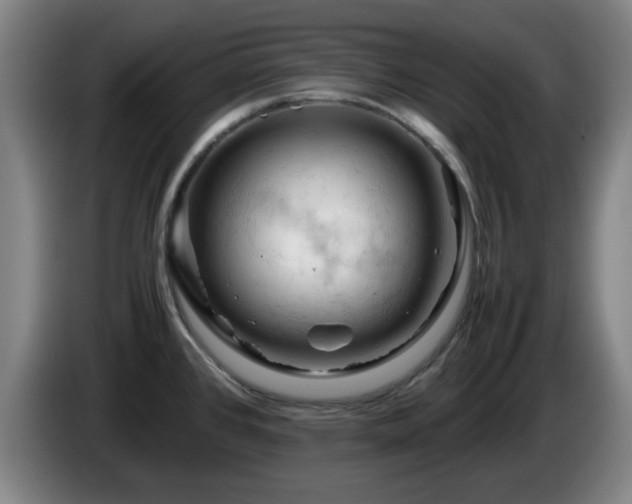 X0000086091384200703301141